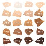 Truth Tint Sheer Skin Tint TT2